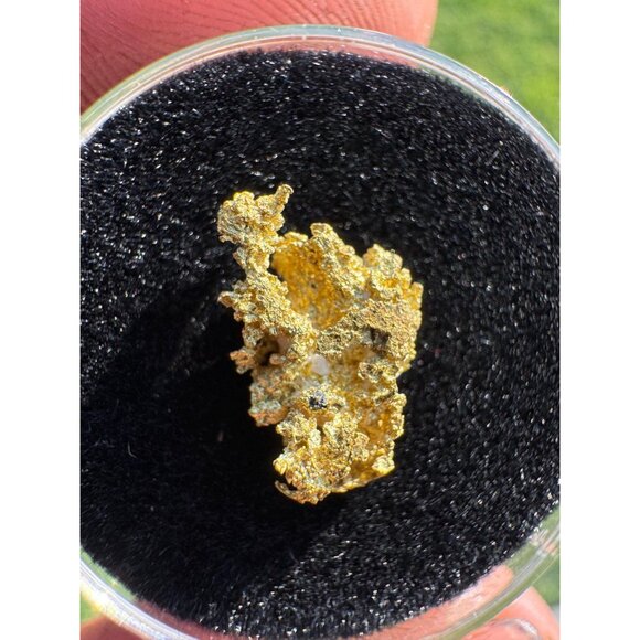 California Native Gold Crystal - 0.93 grams - Picture 5 of 5